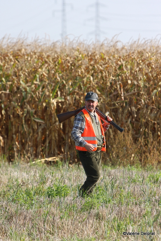 Field Erstein 09.JPG